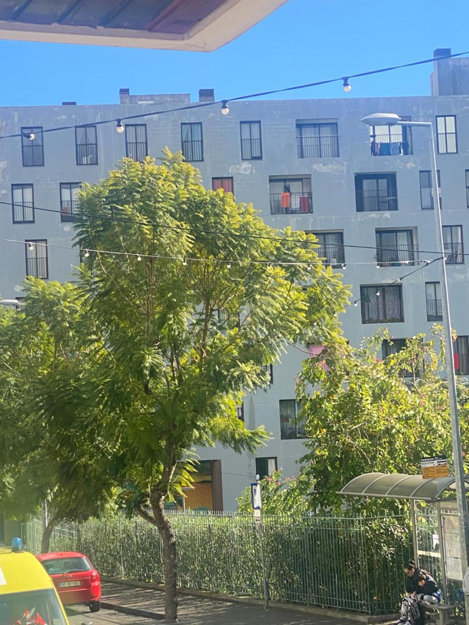 Funchal Varzea Park Apartment Екстериор снимка